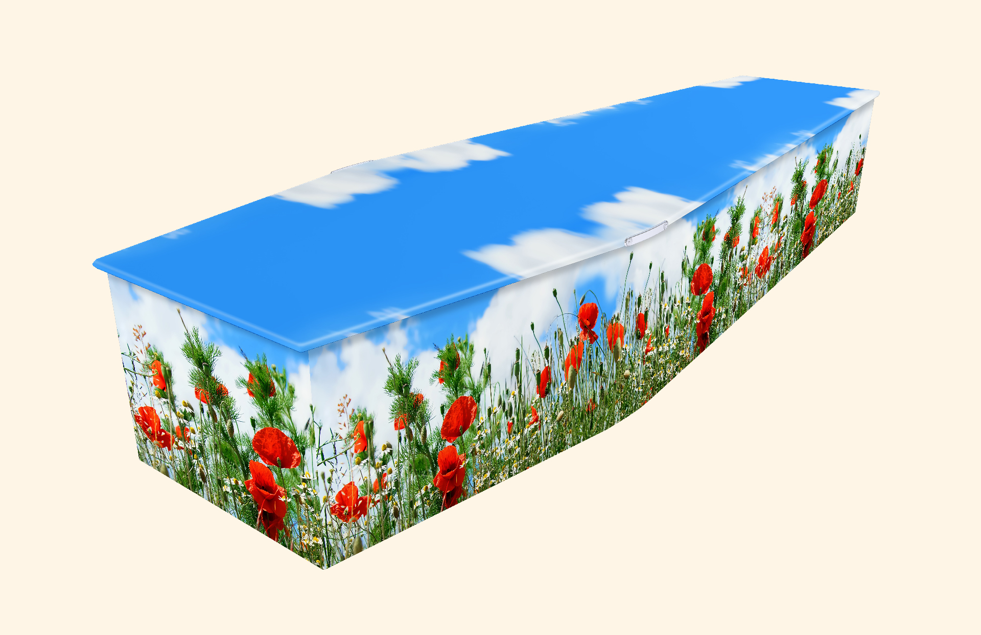 Floral Picture Coffins Personal Picture Coffins from Colourful Coffins Â® Tel 01865 779172